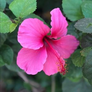 Meet your Posher, Candace